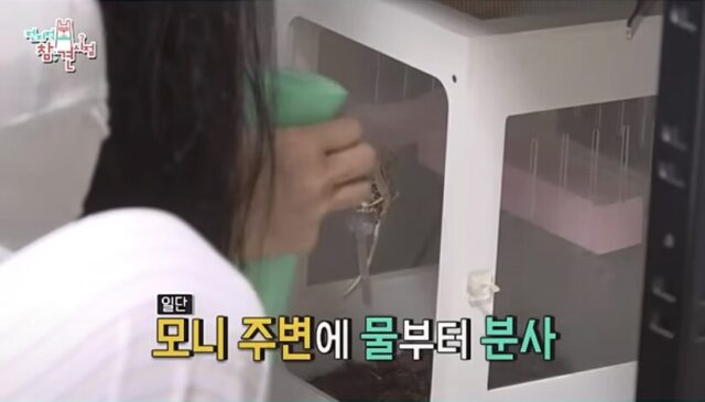 Screenshot 2025-09-14 at 6.03.07 PM